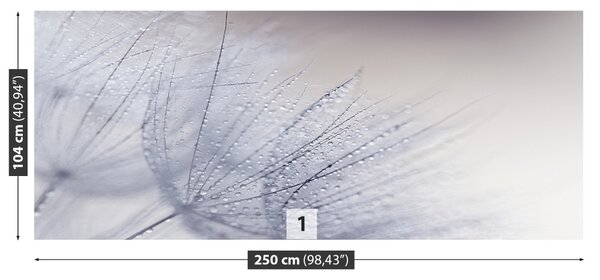 Fototapet Seminte dandelion