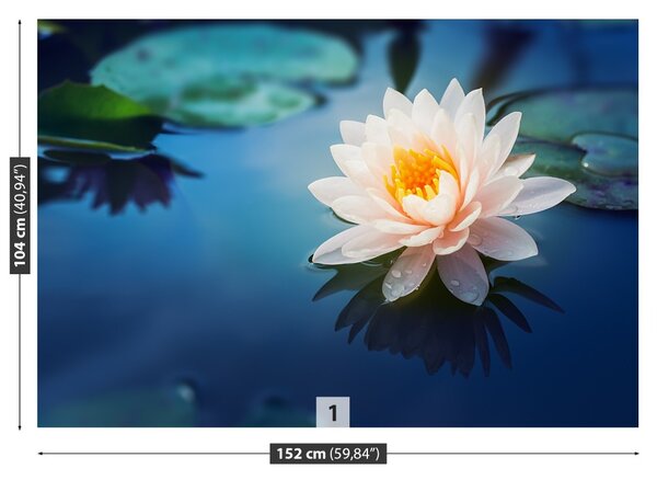 Fototapet Floare de lotus