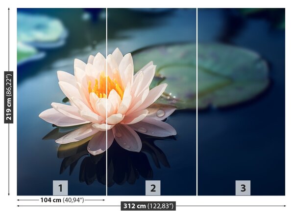 Fototapet Lotus Flower Pond