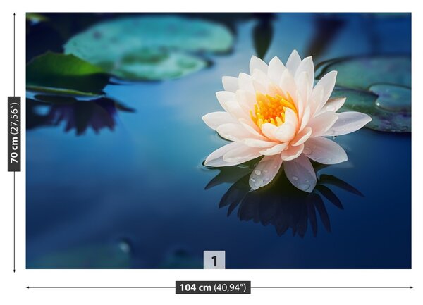 Fototapet Floare de lotus