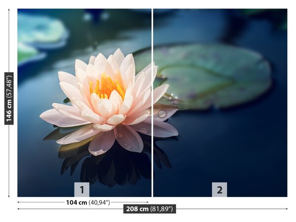 Fototapet Lotus Flower Pond