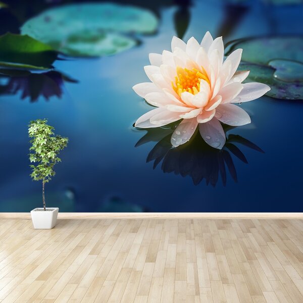 Fototapet Floare de lotus
