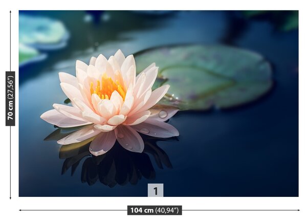 Fototapet Lotus Flower Pond
