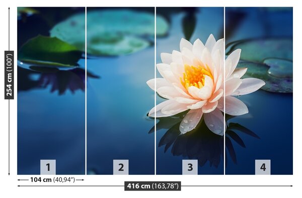 Fototapet Floare de lotus