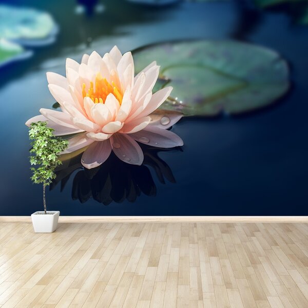 Fototapet Lotus Flower Pond