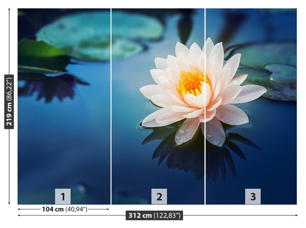 Fototapet Floare de lotus