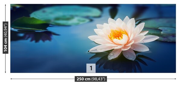 Fototapet Floare de lotus