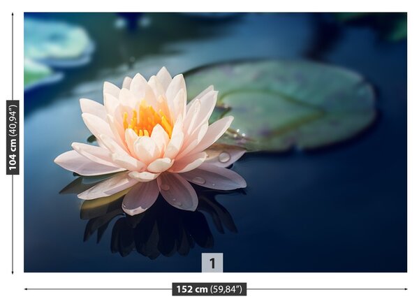 Fototapet Lotus Flower Pond