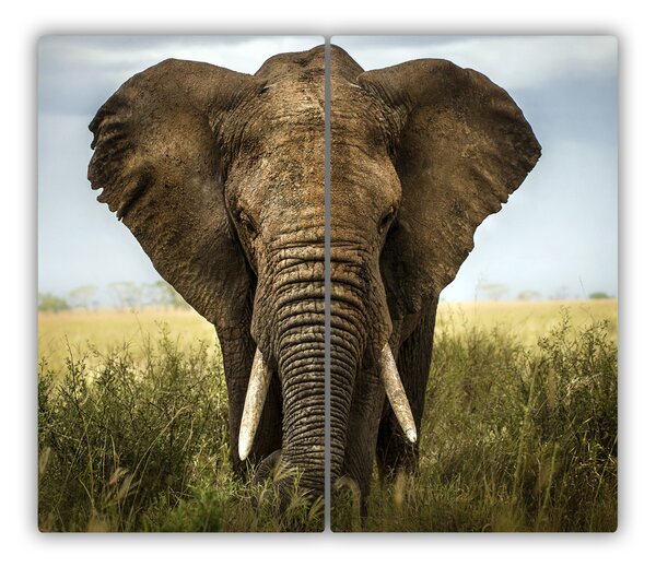 Tocator din sticla Elephant Savanna