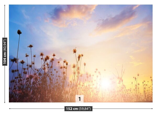 Fototapet Flori Meadow