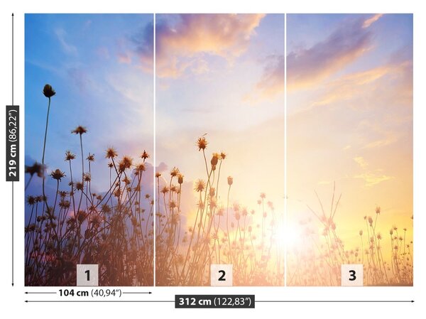Fototapet Flori Meadow