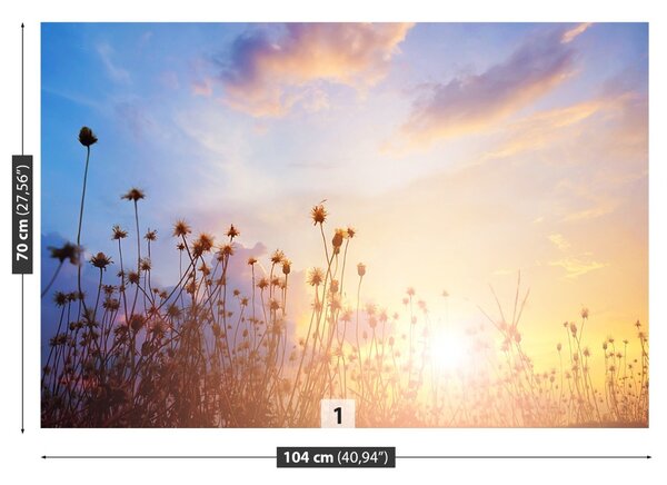 Fototapet Flori Meadow