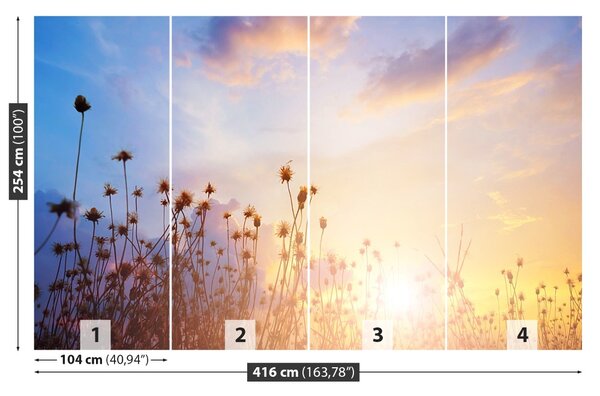 Fototapet Flori Meadow