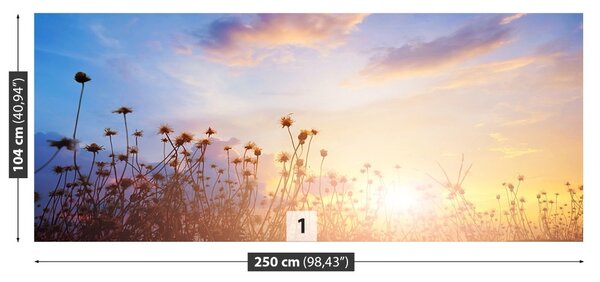 Fototapet Flori Meadow
