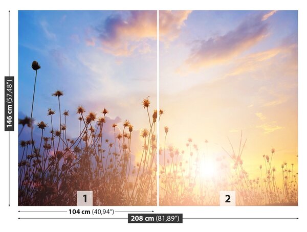 Fototapet Flori Meadow
