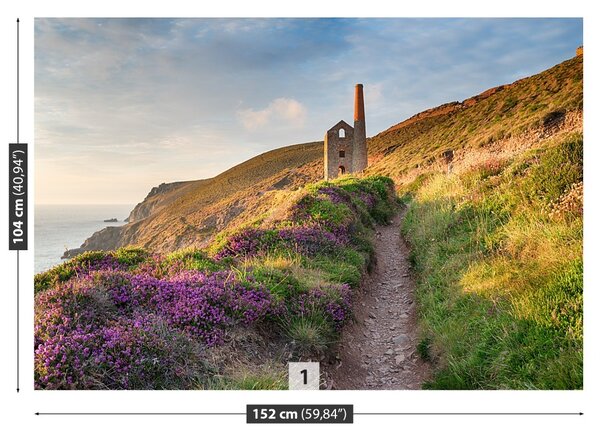 Fototapet Coasta de Cornwall
