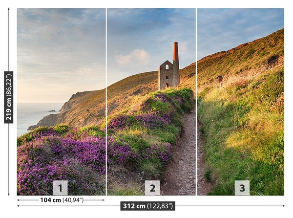 Fototapet Coasta de Cornwall