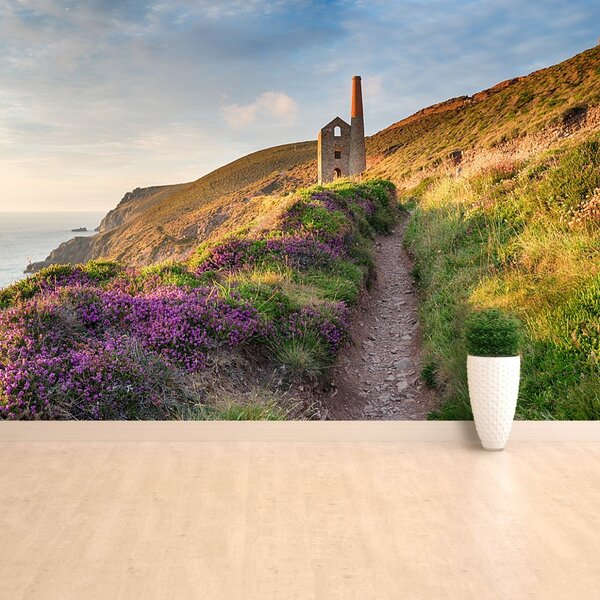 Fototapet Coasta de Cornwall