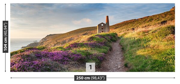 Fototapet Coasta de Cornwall