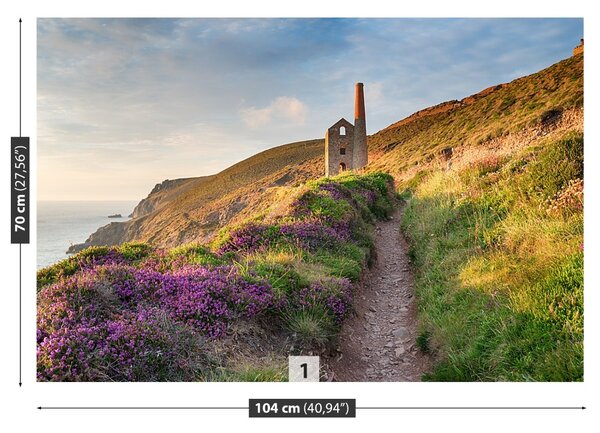 Fototapet Coasta de Cornwall