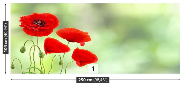 Fototapet Red Maci