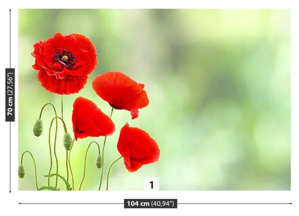 Fototapet Red Maci