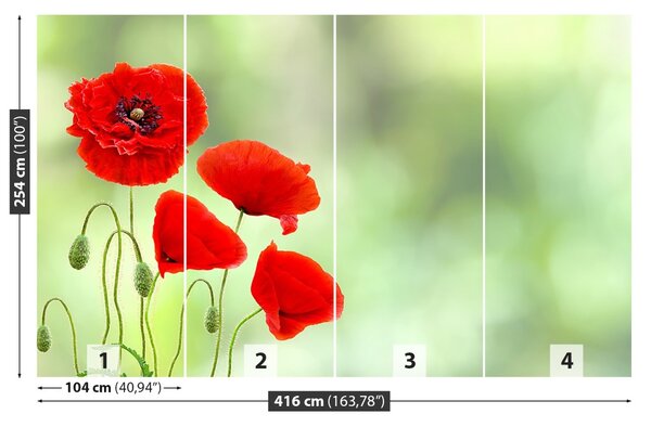 Fototapet Red Maci
