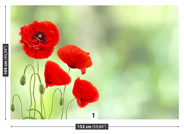 Fototapet Red Maci