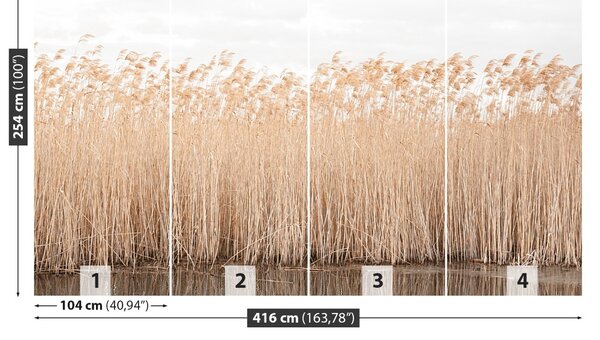 Fototapet Reed Pond