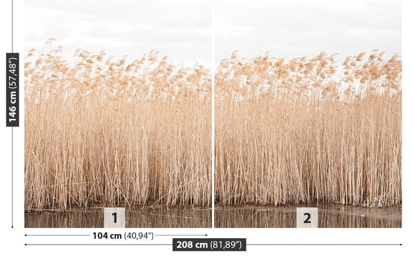 Fototapet Reed Pond