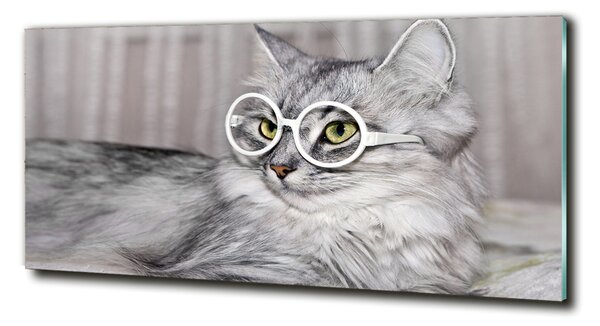 Tablou Printat Pe Sticlă Cat cu ochelari