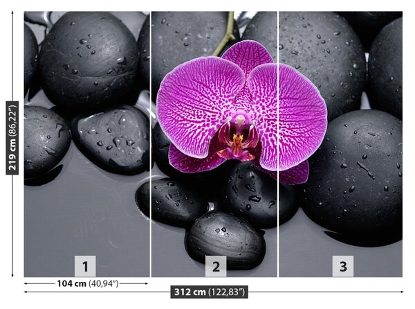 Fototapet Orchid Stones