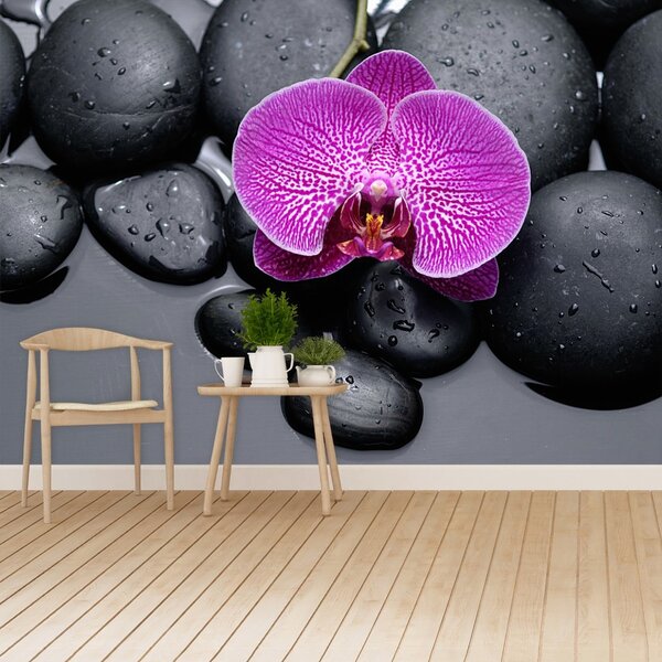 Fototapet Orchid Stones