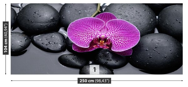 Fototapet Orchid Stones