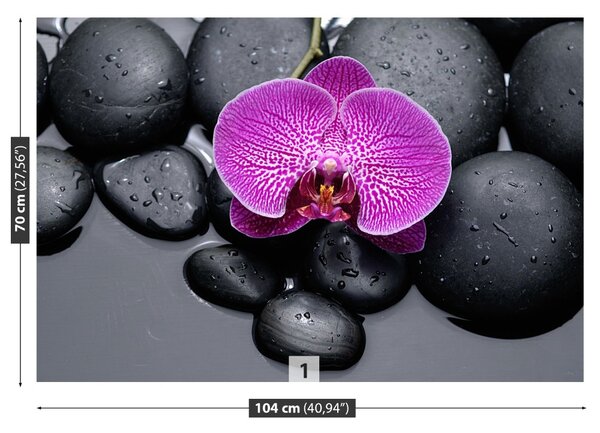 Fototapet Orchid Stones