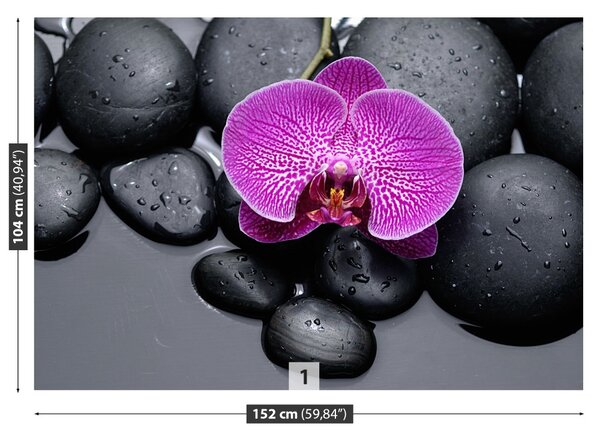 Fototapet Orchid Stones