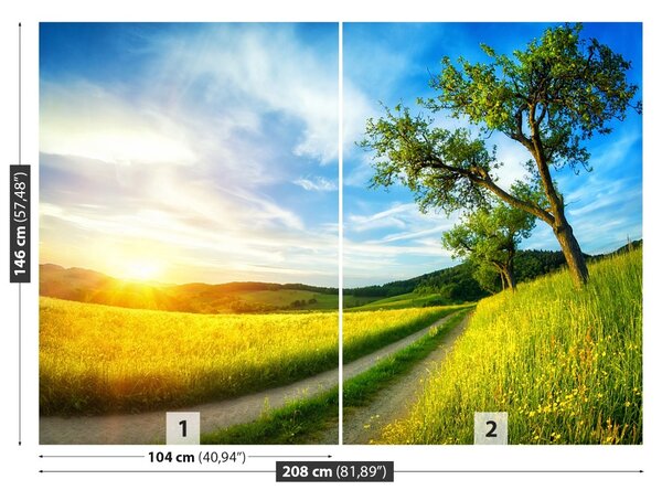 Fototapet Meadow copac