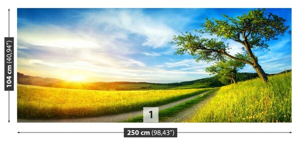 Fototapet Meadow copac