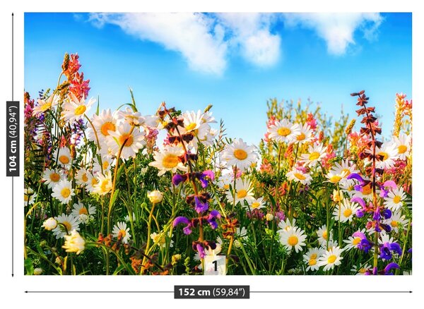 Fototapet Flori de primăvară