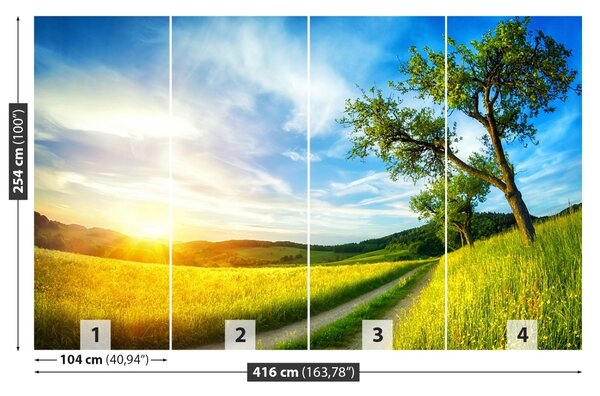 Fototapet Meadow copac