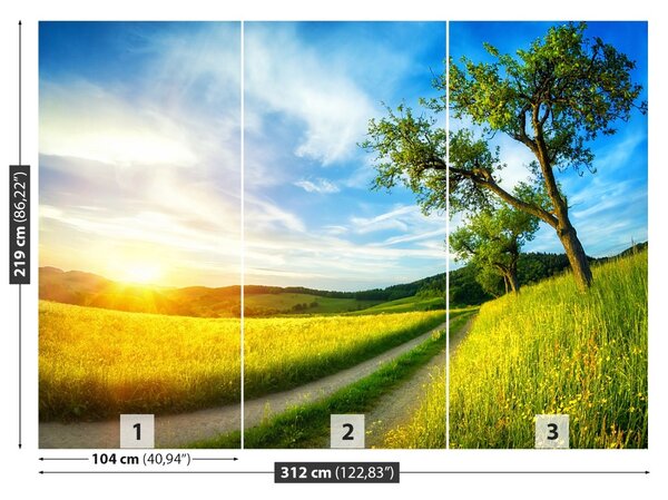 Fototapet Meadow copac