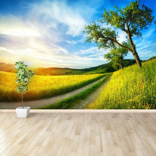 Fototapet Meadow copac