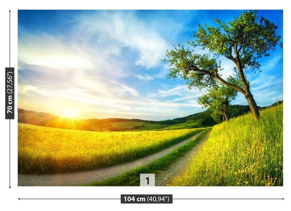 Fototapet Meadow copac