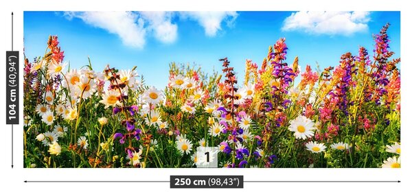 Fototapet Flori de primăvară