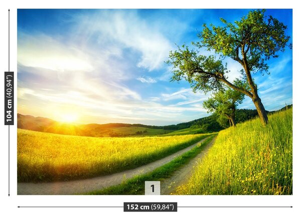 Fototapet Meadow copac