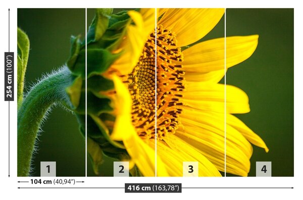 Fototapet floarea-soarelui