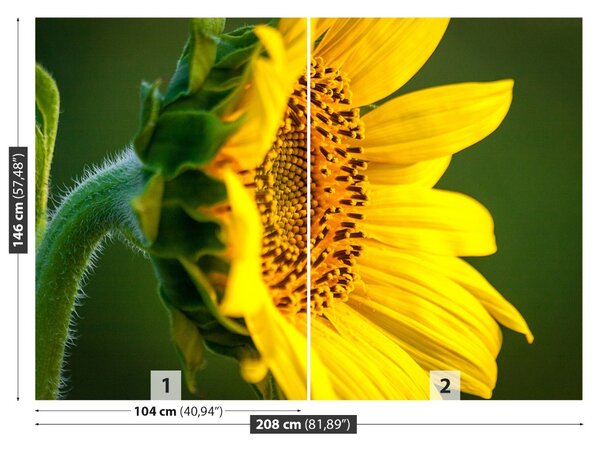 Fototapet floarea-soarelui