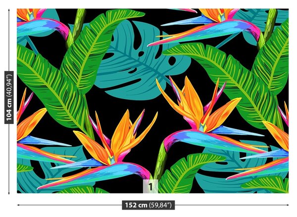 Fototapet Flori tropicale