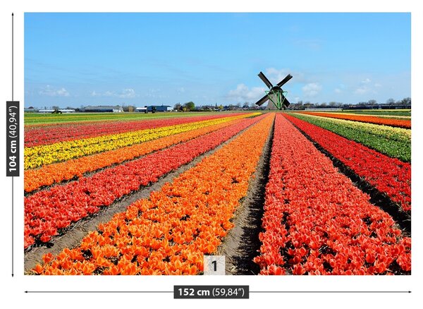 Fototapet Windmill Lalele