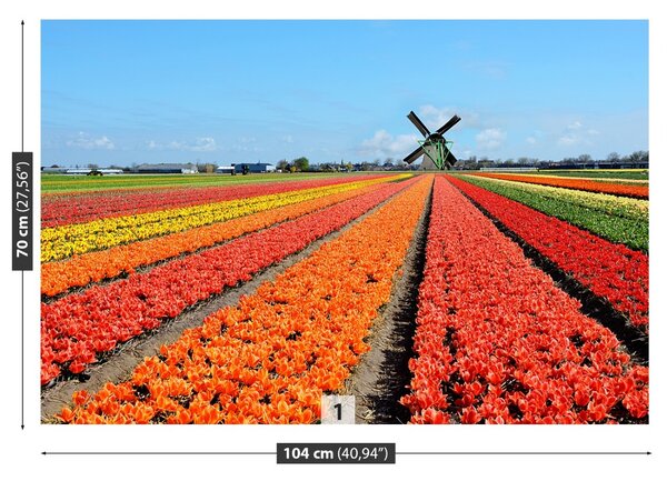 Fototapet Windmill Lalele